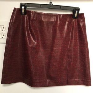 Express Skirt